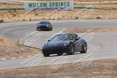 media/Oct-25-2025-West Coast Racing (Sat) [[9fdcbcd09c]]/Green group/Turn 3/